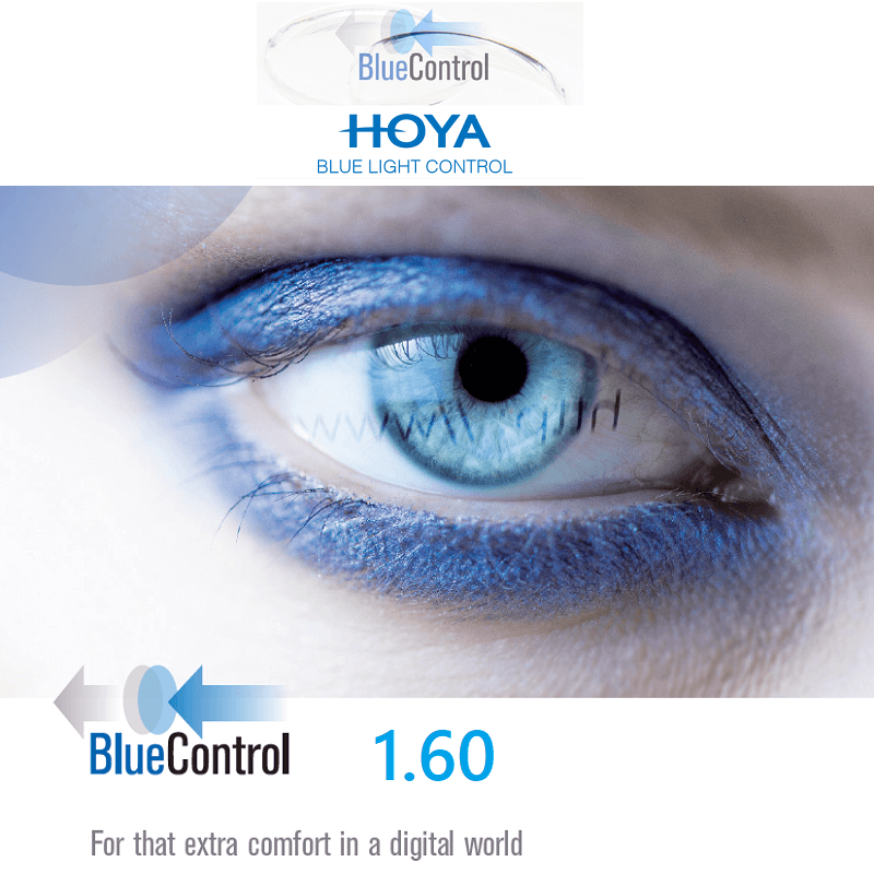 Hoya Blue Control